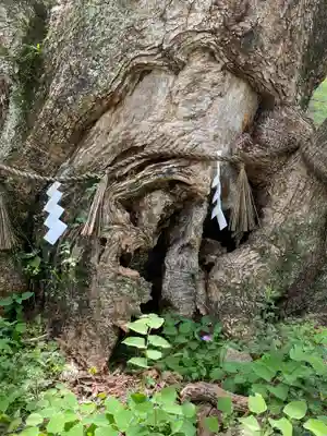 大山祇神社(愛媛県)