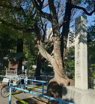 荏原神社(東京都)