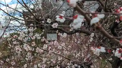  智積院(京都府)