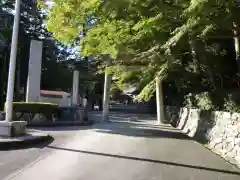 椿大神社の鳥居