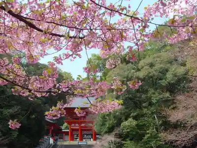 近江神宮のその他建物