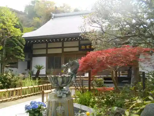 成就院の本殿・本堂