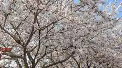 六孫王神社(京都府)