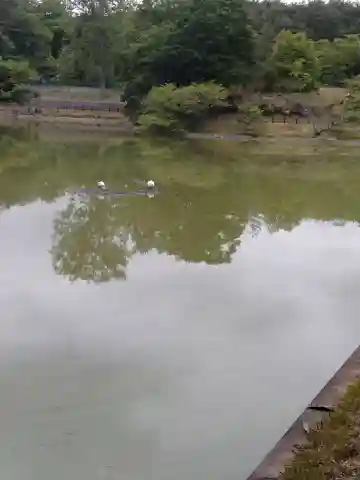 雷神社(宮城県)