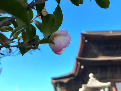 善光寺(長野県)