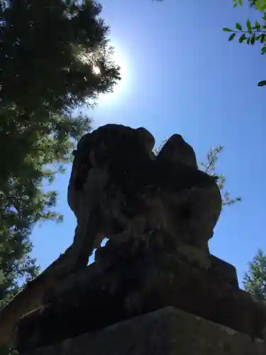 一宮浅間神社の狛犬