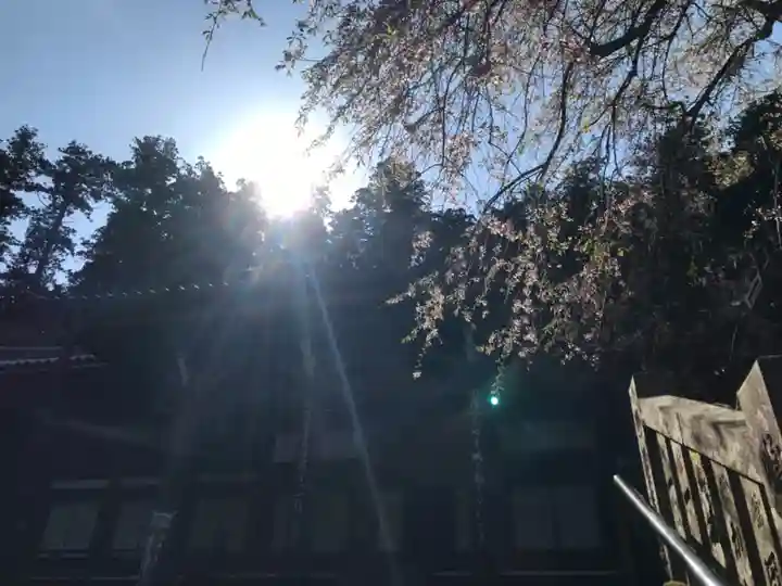 最乗寺(道了尊)(神奈川県)