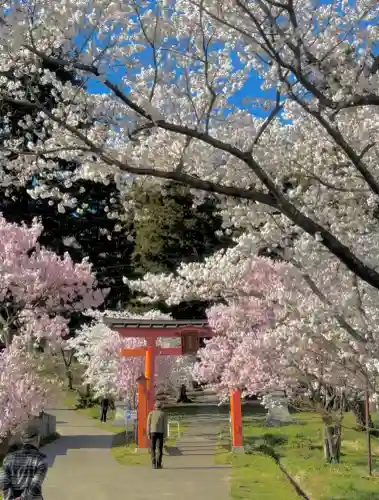 蚊里田八幡宮の{uncategorized: "未分類", other: "その他", undefined: "問題あり", building: "その他建物", grave: "お墓", sacred_gate: "鳥居", guardian: "狛犬", statue: "像", buddha: "仏像", history: "歴史", nature: "自然", garden: "庭園", animal: "動物", pagoda: "塔", temizu: "手水舎", mountain_gate: "山門・神門", sanctuary: "本殿・本堂", subordinate: "末社・摂社", art: "芸術", scenery: "景色", jizo: "地蔵", ema: "絵馬", goshuin: "御朱印", omikuji: "おみくじ", items: "授与品その他", amulet: "お守り", goshuincho: "御朱印帳", eats: "食事", festival: "お祭り", votive_dance: "神楽", shichigosan: "七五三参", wedding: "結婚式", experience: "体験その他", initially: "初詣", around: "周辺", anti_infection: "感染症対策"}