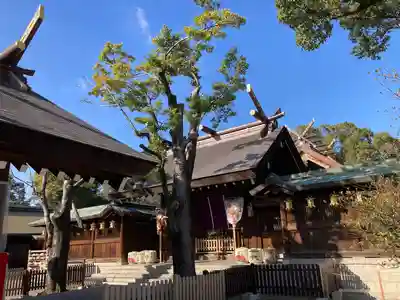 和泉國一之宮　大鳥大社(大阪府)