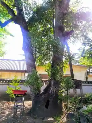神明社（小根神明社）のその他建物