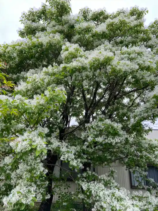 慈眼寺(愛知県)