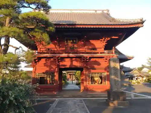 徳願寺の山門