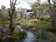 天龍寺の庭園