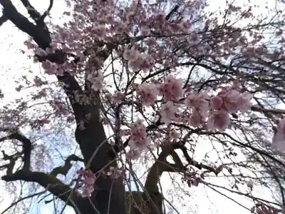 日朝寺(新潟県)