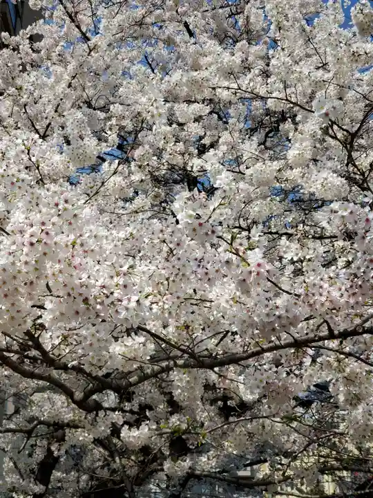 秋葉神社(東京都)