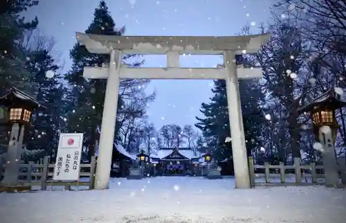 鷹栖神社の本殿・本堂