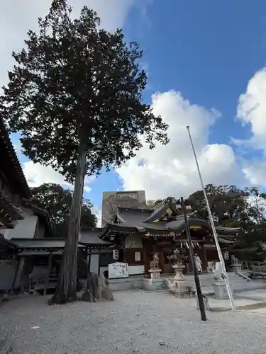 伊和志津神社(兵庫県)