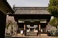 掌禅寺(愛媛県)