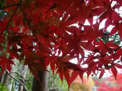 杉本寺(神奈川県)