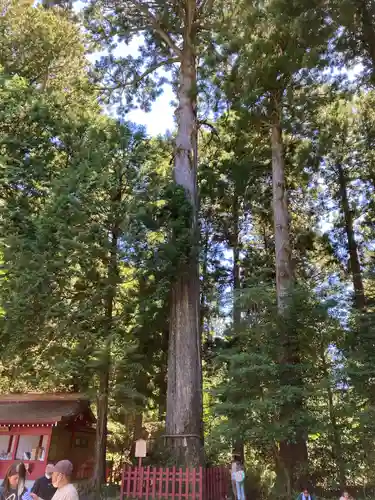 箱根神社(神奈川県)