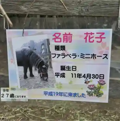 大石神社の{uncategorized: "未分類", other: "その他", undefined: "問題あり", building: "その他建物", grave: "お墓", sacred_gate: "鳥居", guardian: "狛犬", statue: "像", buddha: "仏像", history: "歴史", nature: "自然", garden: "庭園", animal: "動物", pagoda: "塔", temizu: "手水舎", mountain_gate: "山門・神門", sanctuary: "本殿・本堂", subordinate: "末社・摂社", art: "芸術", scenery: "景色", jizo: "地蔵", ema: "絵馬", goshuin: "御朱印", omikuji: "おみくじ", items: "授与品その他", amulet: "お守り", goshuincho: "御朱印帳", eats: "食事", festival: "お祭り", votive_dance: "神楽", shichigosan: "七五三参", wedding: "結婚式", experience: "体験その他", initially: "初詣", around: "周辺", anti_infection: "感染症対策"}