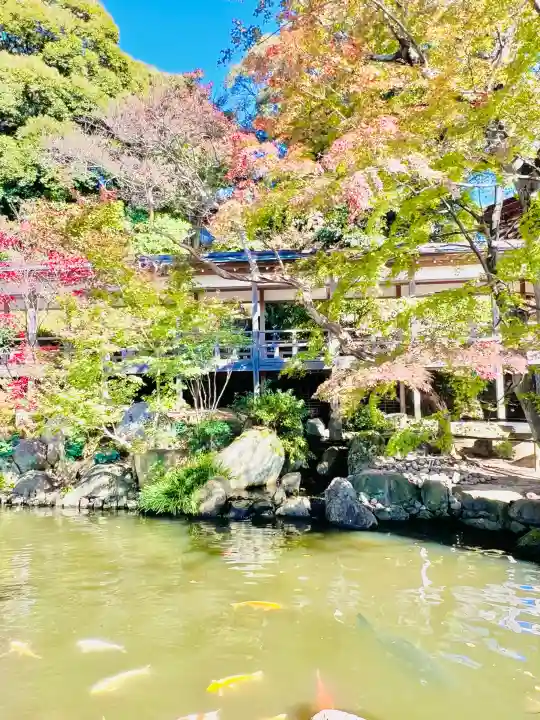 楽法寺(雨引観音)の{uncategorized: "未分類", other: "その他", undefined: "問題あり", building: "その他建物", grave: "お墓", sacred_gate: "鳥居", guardian: "狛犬", statue: "像", buddha: "仏像", history: "歴史", nature: "自然", garden: "庭園", animal: "動物", pagoda: "塔", temizu: "手水舎", mountain_gate: "山門・神門", sanctuary: "本殿・本堂", subordinate: "末社・摂社", art: "芸術", scenery: "景色", jizo: "地蔵", ema: "絵馬", goshuin: "御朱印", omikuji: "おみくじ", items: "授与品その他", amulet: "お守り", goshuincho: "御朱印帳", eats: "食事", festival: "お祭り", votive_dance: "神楽", shichigosan: "七五三参", wedding: "結婚式", experience: "体験その他", initially: "初詣", around: "周辺", anti_infection: "感染症対策"}