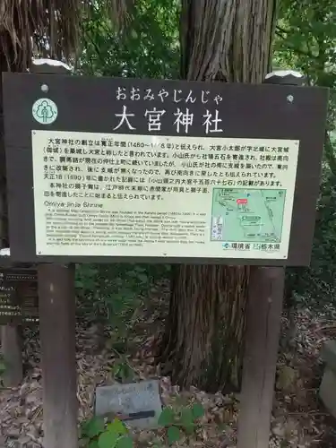 大宮神社(栃木県)