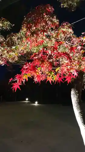 北野天満宮の庭園