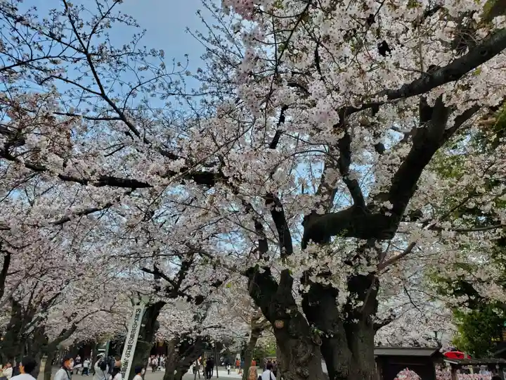 靖國神社(東京都)