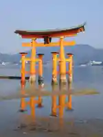 厳島神社の鳥居