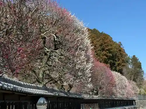 高麗神社(埼玉県)