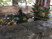 琴似神社の手水舎