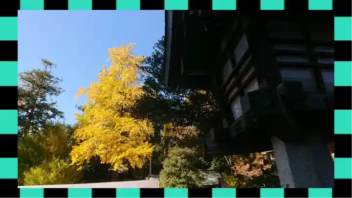 秩父神社(埼玉県)