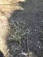 杭全神社(大阪府)