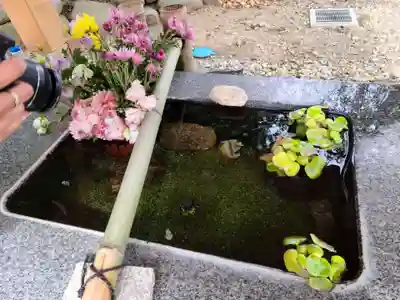高司神社〜むすびの神の鎮まる社〜の手水舎