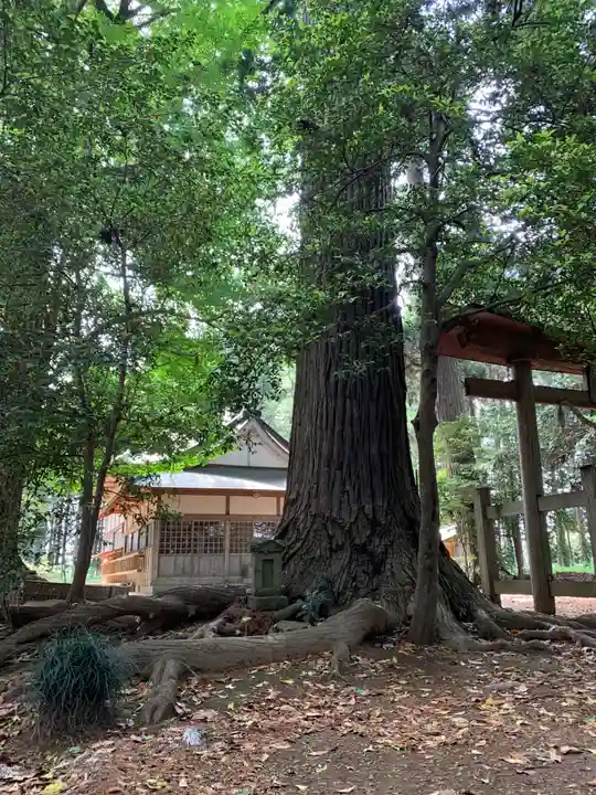 大宮神社(千葉県)