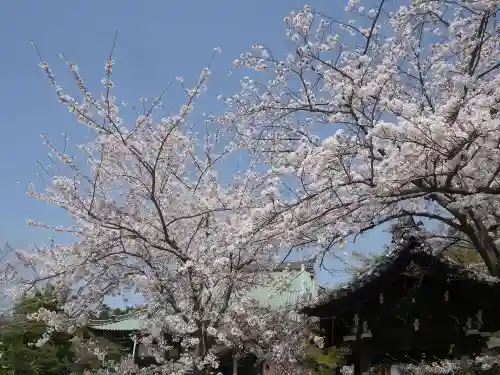 時宗総本山 遊行寺（正式：清浄光寺）の自然