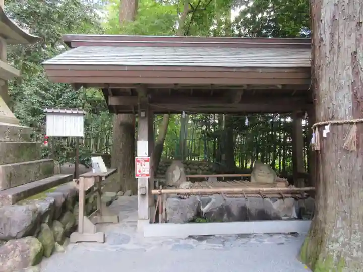 椿大神社の手水舎