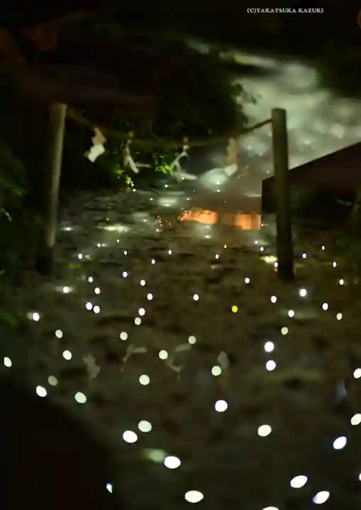 川越氷川神社(埼玉県)