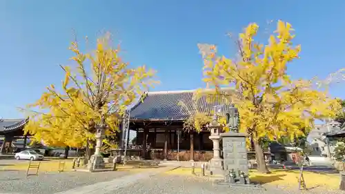 頂妙寺の本殿・本堂