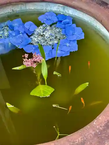 極楽寺(静岡県)