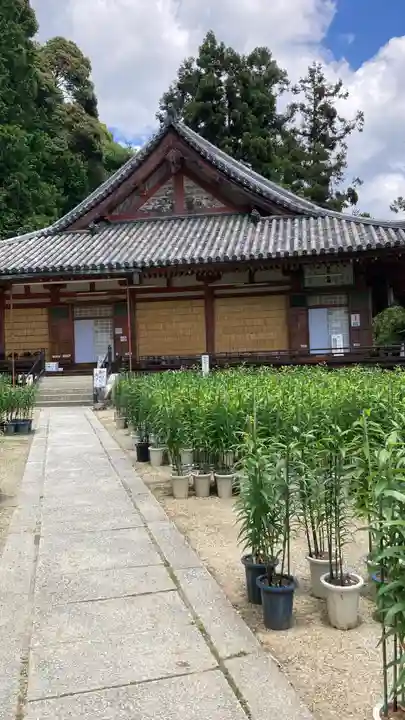 松尾寺(奈良県)