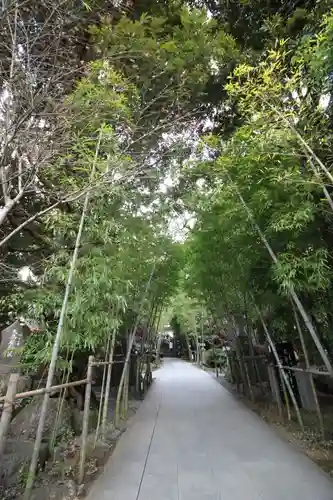 來宮神社(静岡県)