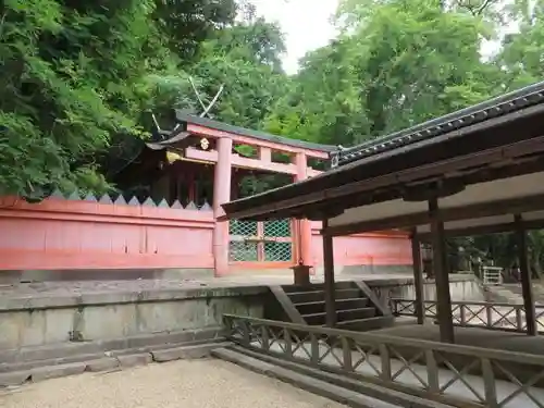 春日大社 若宮（春日若宮）(奈良県)