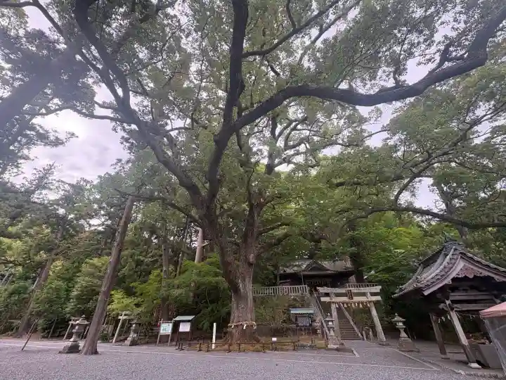 事任八幡宮の{uncategorized: "未分類", other: "その他", undefined: "問題あり", building: "その他建物", grave: "お墓", sacred_gate: "鳥居", guardian: "狛犬", statue: "像", buddha: "仏像", history: "歴史", nature: "自然", garden: "庭園", animal: "動物", pagoda: "塔", temizu: "手水舎", mountain_gate: "山門・神門", sanctuary: "本殿・本堂", subordinate: "末社・摂社", art: "芸術", scenery: "景色", jizo: "地蔵", ema: "絵馬", goshuin: "御朱印", omikuji: "おみくじ", items: "授与品その他", amulet: "お守り", goshuincho: "御朱印帳", eats: "食事", festival: "お祭り", votive_dance: "神楽", shichigosan: "七五三参", wedding: "結婚式", experience: "体験その他", initially: "初詣", around: "周辺", anti_infection: "感染症対策"}