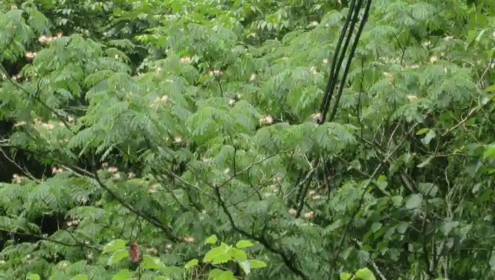 高館義経堂(岩手県)