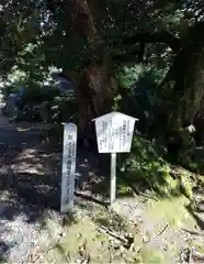 西福寺(福井県)