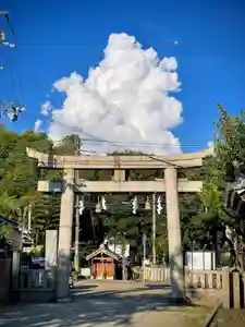 許麻神社の鳥居(2021年07月25日(日) 22時55分44秒投稿)