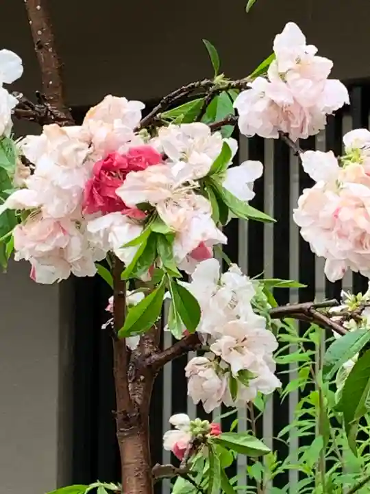 生田神社(兵庫県)