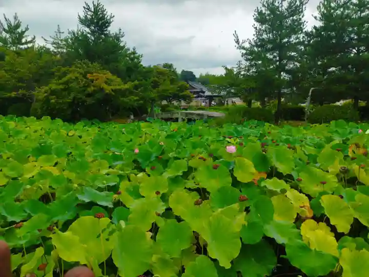 天龍寺(京都府)